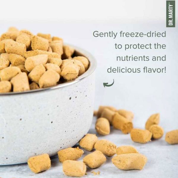 Dr. Marty Nature's Blend Freeze Dried Raw Puppy Food Healthy Growth, 6 oz.
