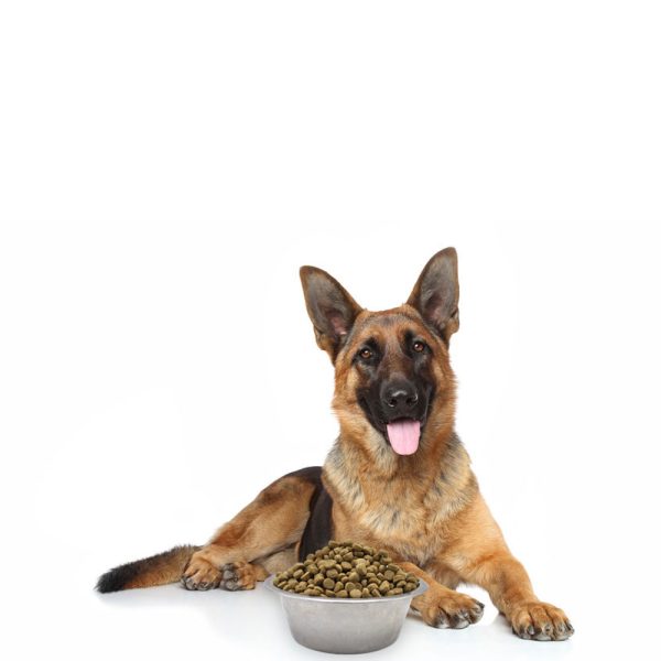 Simply Wild Lean Dog Chicken & Brown Rice Dog Food (20 lbs)