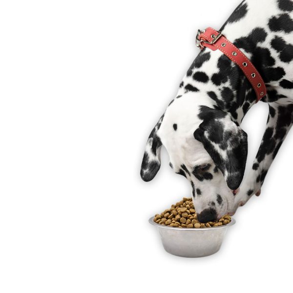 Simply Wild Lean Dog Chicken & Brown Rice Dog Food (20 lbs)