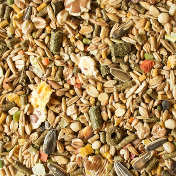 Sunseed SunSations Natural Hamster & Gerbil Formula 2 lbs