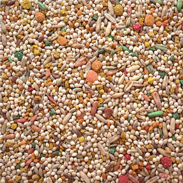 Sunseed Vita Parakeet Diet 2.5 lbs