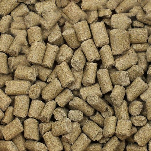 Sunseed Vita Prima Critter Cubes Food 2 lbs